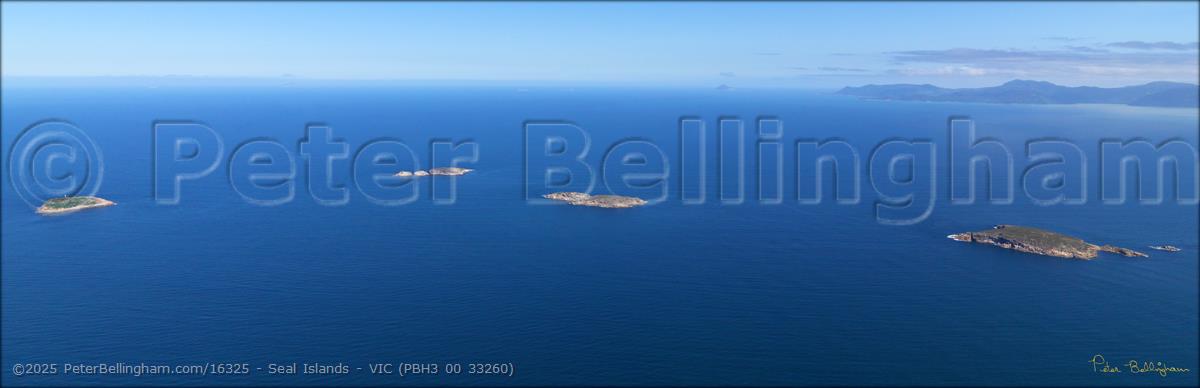 Peter Bellingham Photography Seal Islands - VIC (PBH3 00 33260)